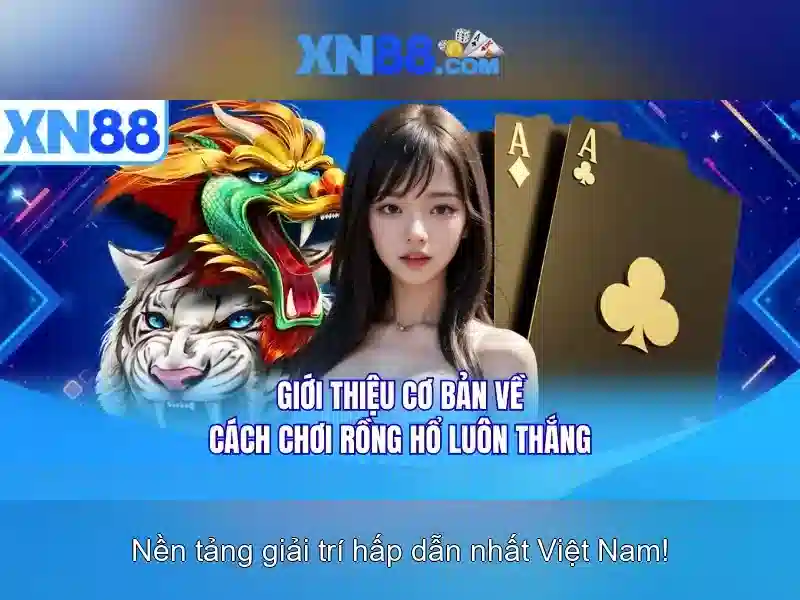 https://xn88.br.com/images/text/xn88/xn88-text2603312076.webp