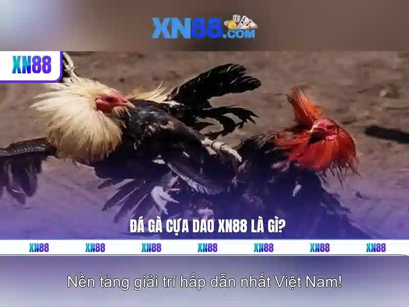 https://xn88.br.com/images/text/xn88/xn88-text2603312148.webp