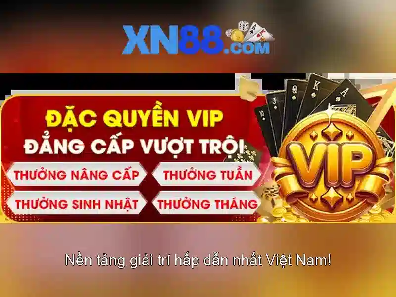 https://xn88.br.com/images/text/xn88/xn88-text2603312706.webp