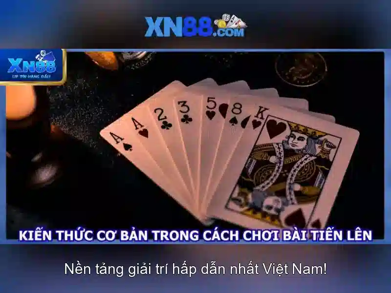https://xn88.br.com/images/text/xn88/xn88-text2603312733.webp