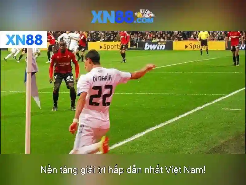 https://xn88.br.com/images/text/xn88/xn88-text260331279.webp