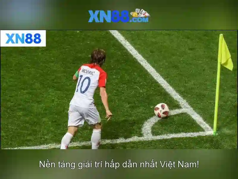 https://xn88.br.com/images/text/xn88/xn88-text260331281.webp