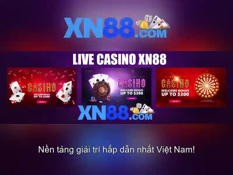 https://xn88.br.com/images/text/xn88/xn88-text2603312825.webp