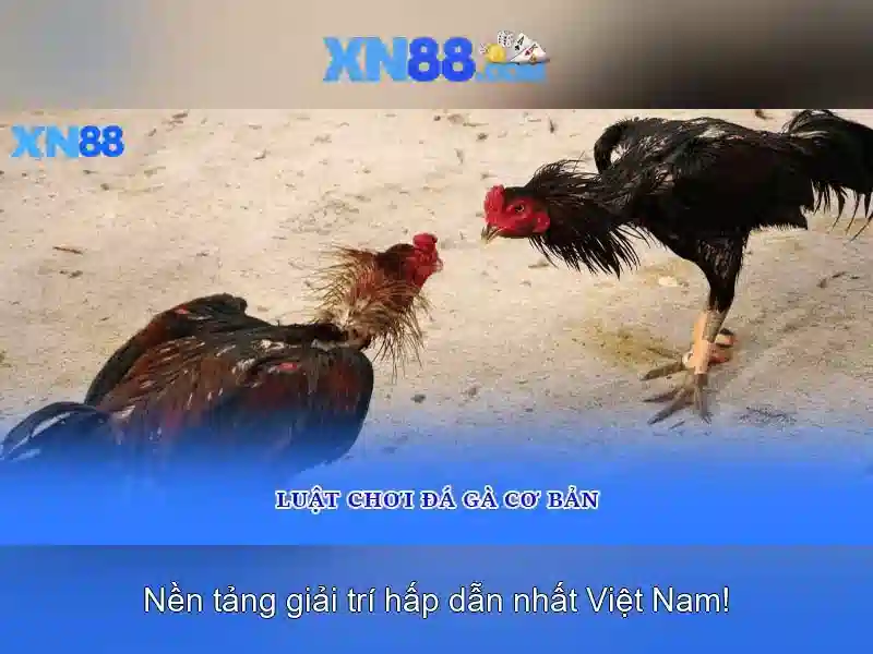 XN88: Tổng quan về nền tảng game trực tuyến