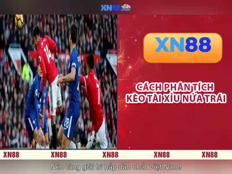 https://xn88.br.com/images/text/xn88/xn88-text260331330.webp