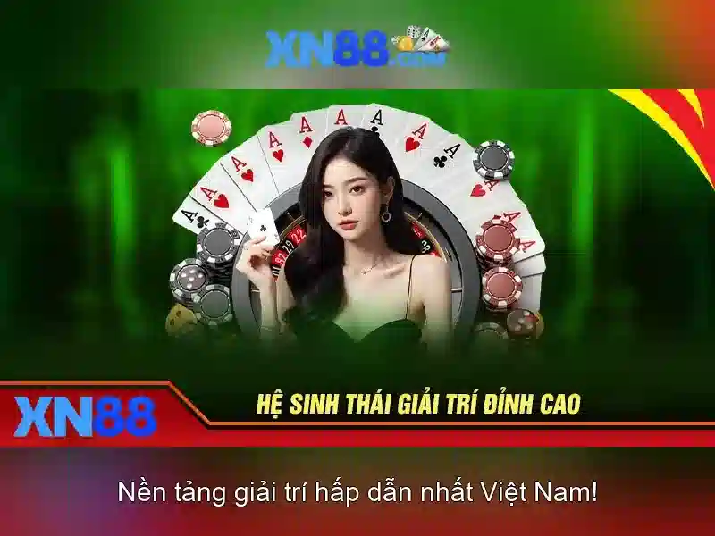 https://xn88.br.com/images/text/xn88/xn88-text26033135.webp