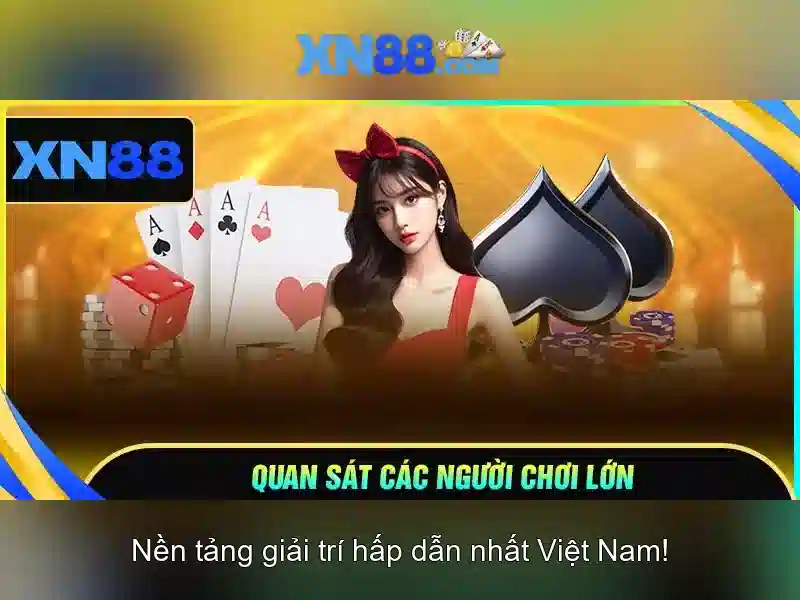 https://xn88.br.com/images/text/xn88/xn88-text2603313595.webp