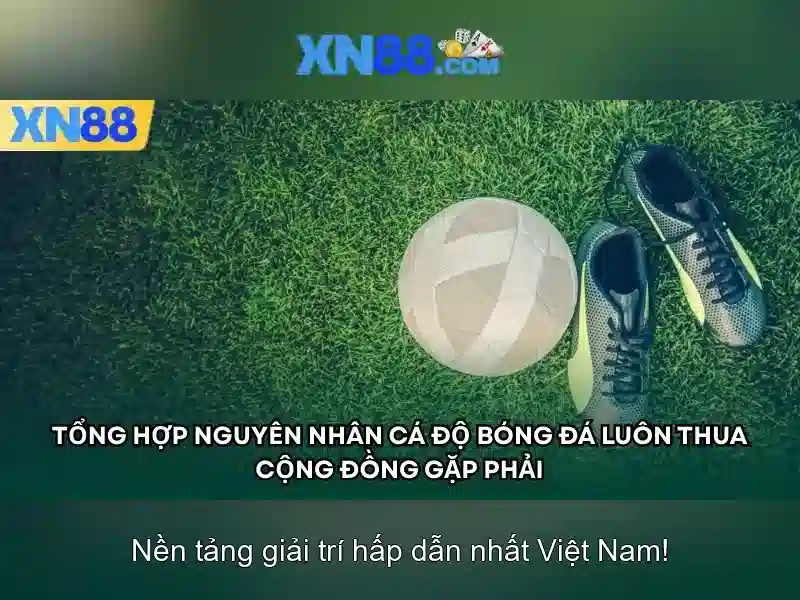 https://xn88.br.com/images/text/xn88/xn88-text2603314197.webp