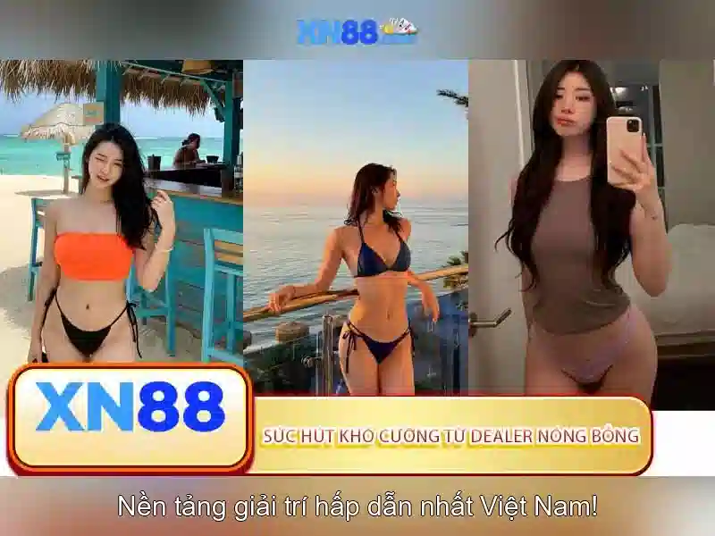 https://xn88.br.com/images/text/xn88/xn88-text2603314634.webp