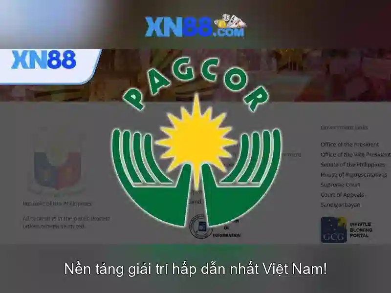 https://xn88.br.com/images/text/xn88/xn88-text2603314689.webp