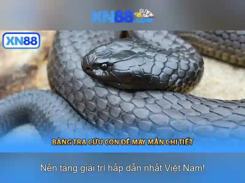https://xn88.br.com/images/text/xn88/xn88-text260331734.webp