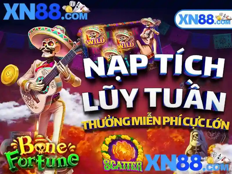 https://xn88.br.com/images/text/xn88/xn88-text393.webp