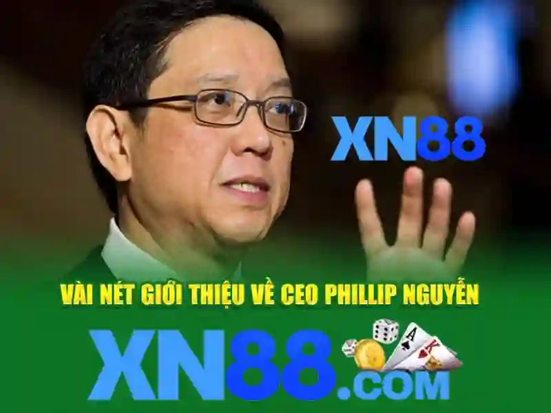 https://xn88.br.com/images/text/xn88/xn88-text997.webp